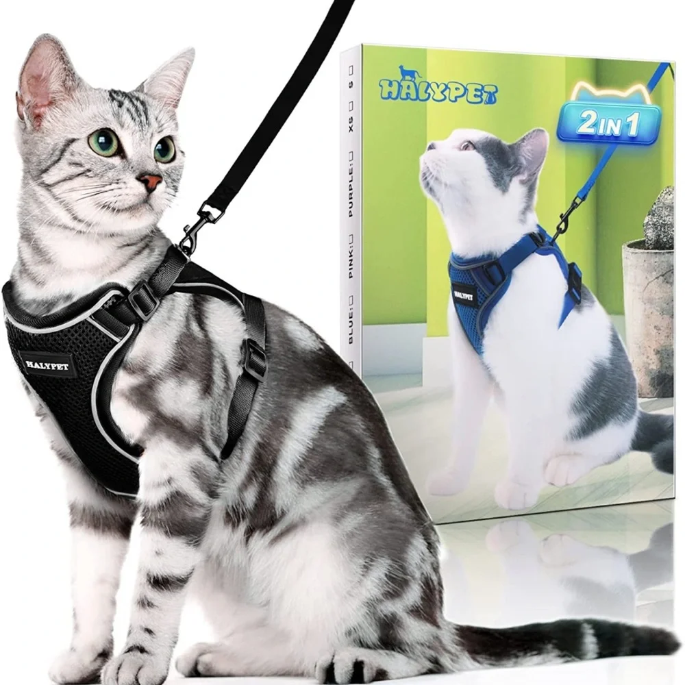 Brand new Cat Harness